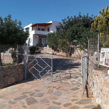 Alkioni Sea View Apartment Káto Zákros 外观 照片