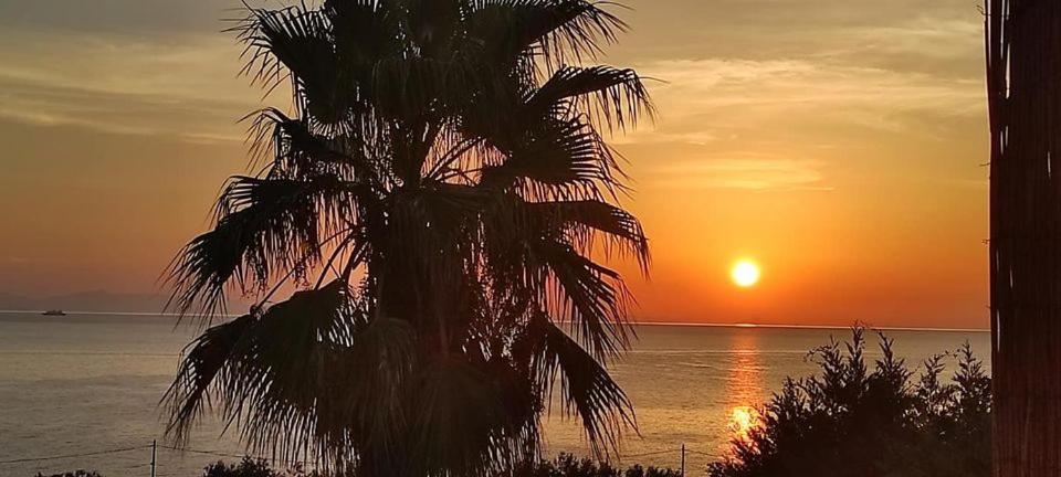 Alkioni Sea View Apartment Káto Zákros 外观 照片