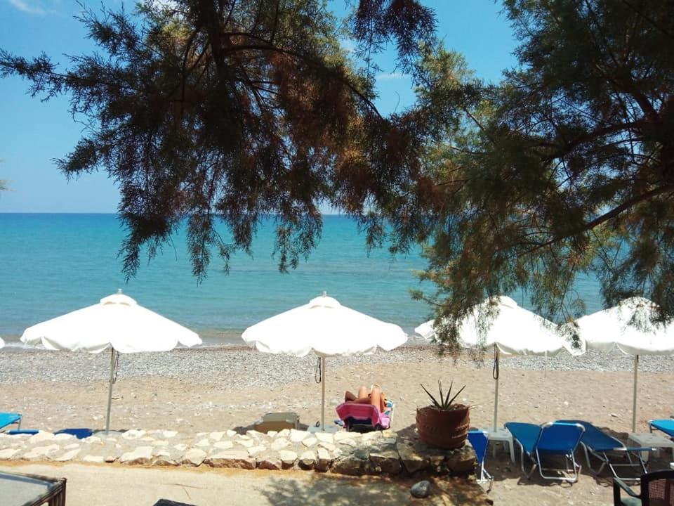Alkioni Sea View Apartment Káto Zákros 外观 照片
