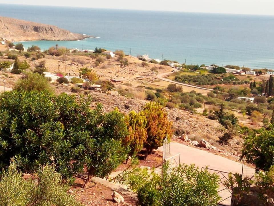 Alkioni Sea View Apartment Káto Zákros 外观 照片