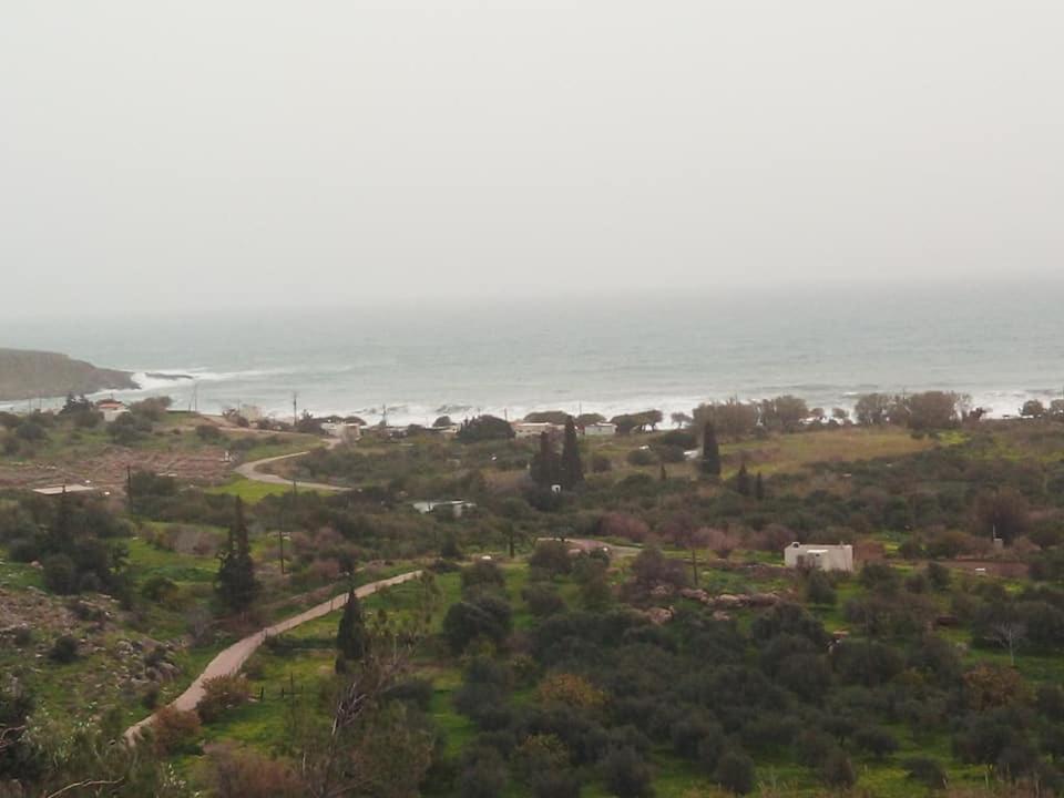 Alkioni Sea View Apartment Káto Zákros 外观 照片