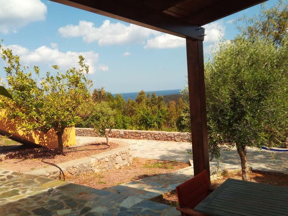 Alkioni Sea View Apartment Káto Zákros 外观 照片