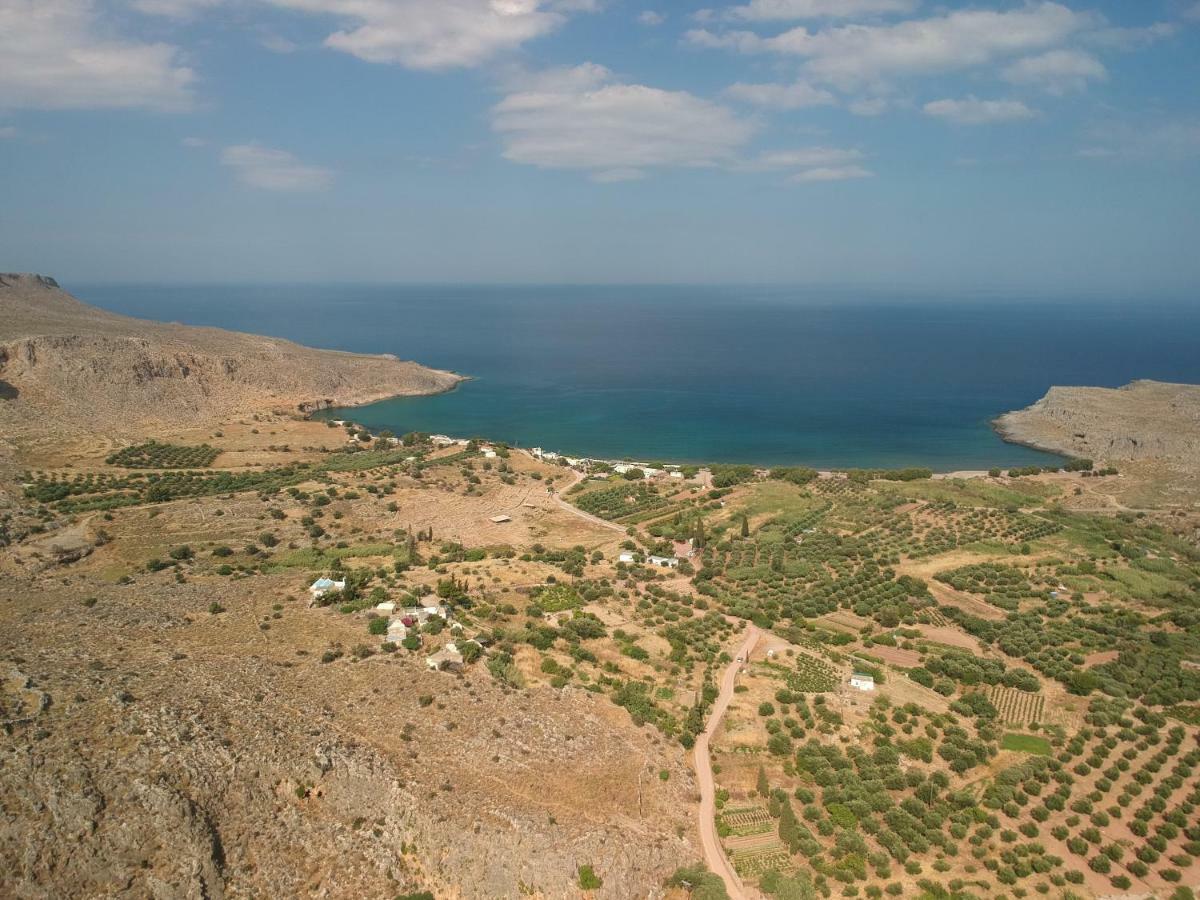 Alkioni Sea View Apartment Káto Zákros 外观 照片