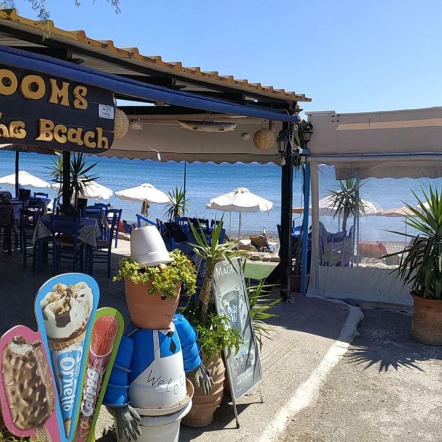 Alkioni Sea View Apartment Káto Zákros 外观 照片